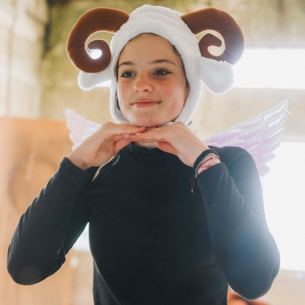 Sonny Angel Schaf-Set
