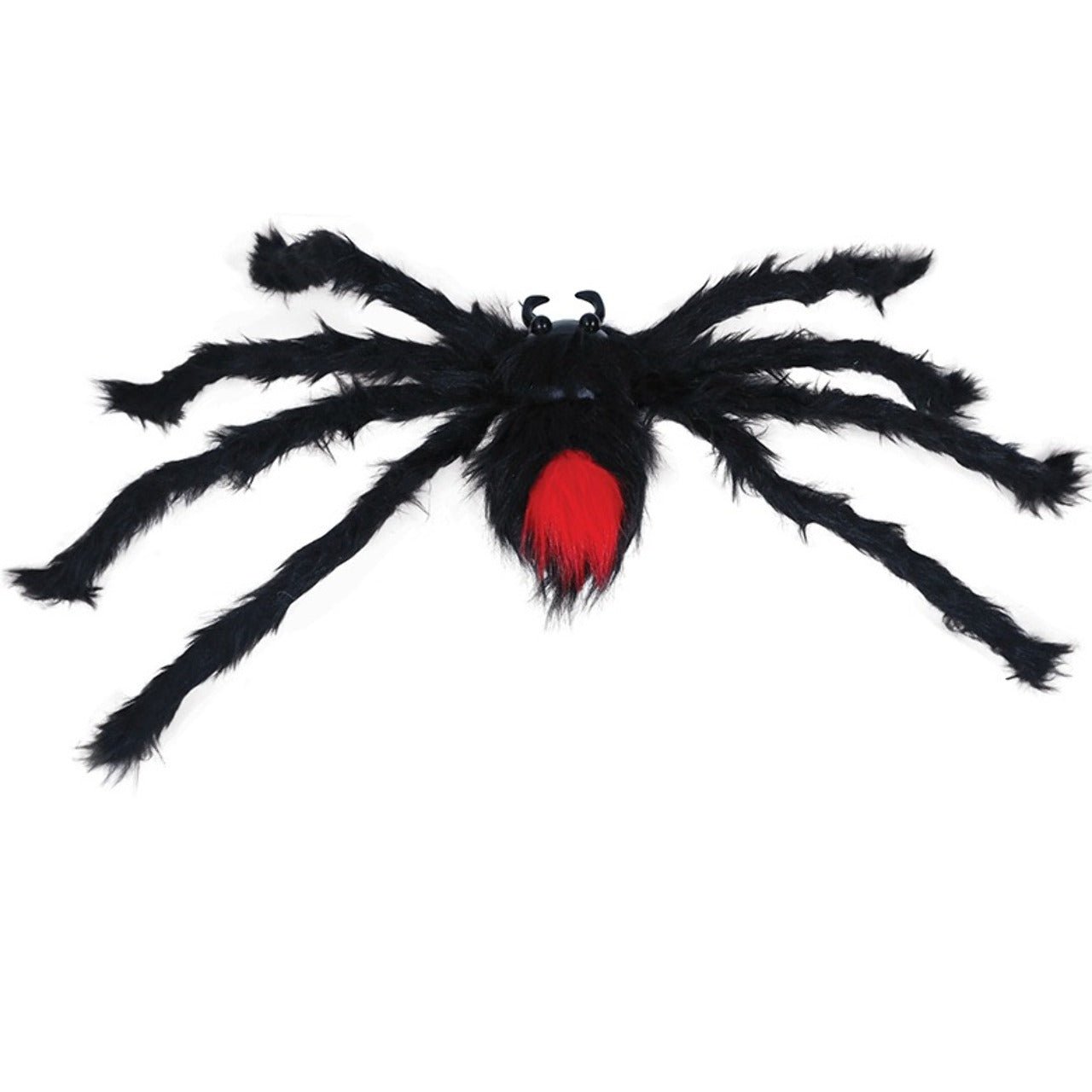 Giftspinne haarig