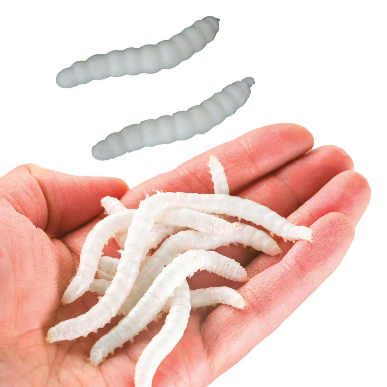 Beutel mit 20 elastische Würmer