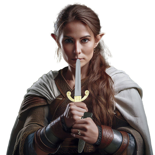 Mittelalterlicher Dolch mit Scheide