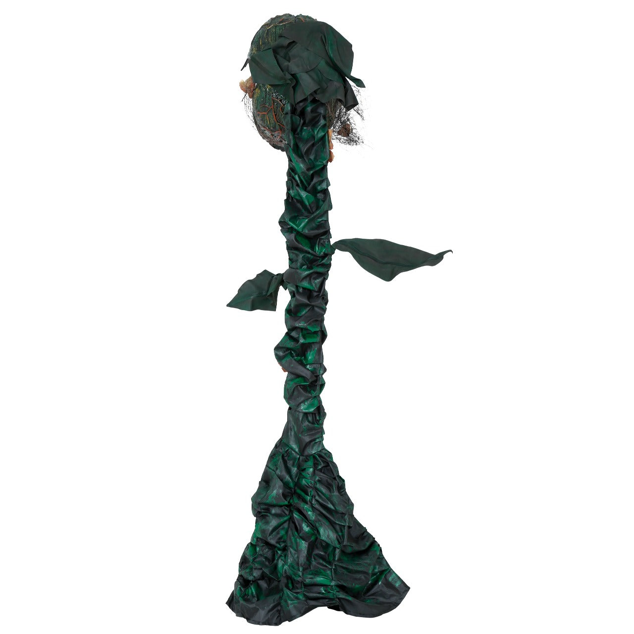 Fleischfressende-Pflanze