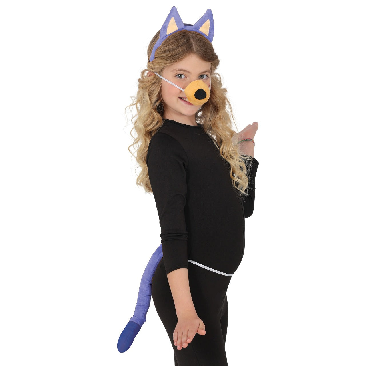 Blauer Bluey-Hundeset