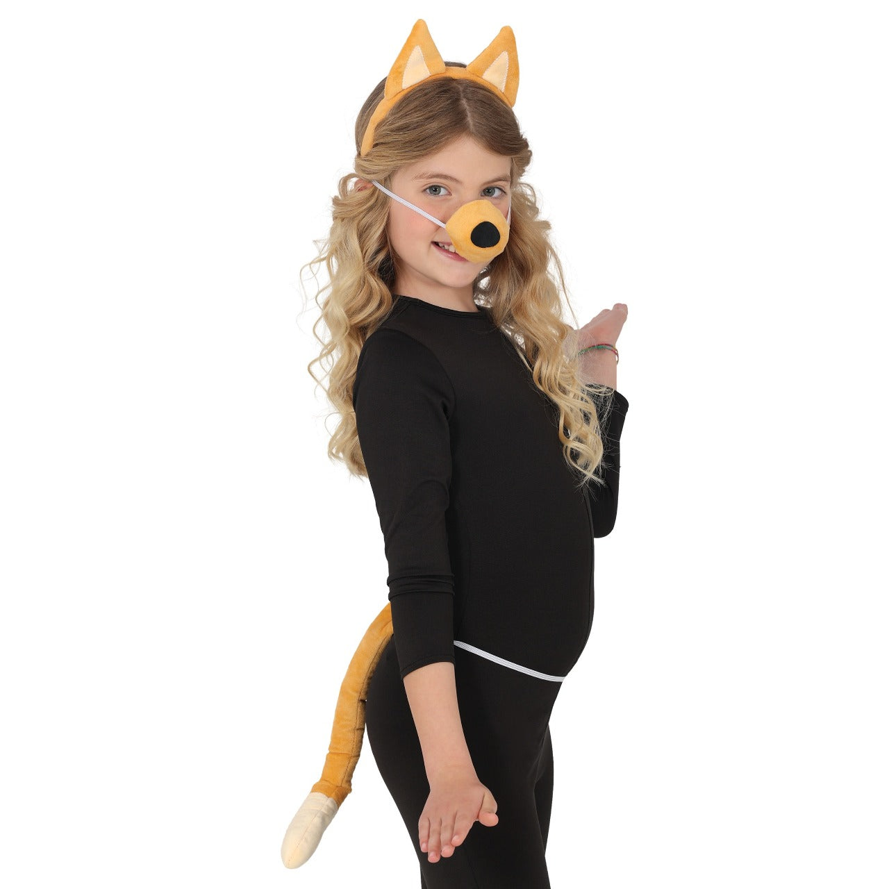 3 Stück Brauner Hundeset