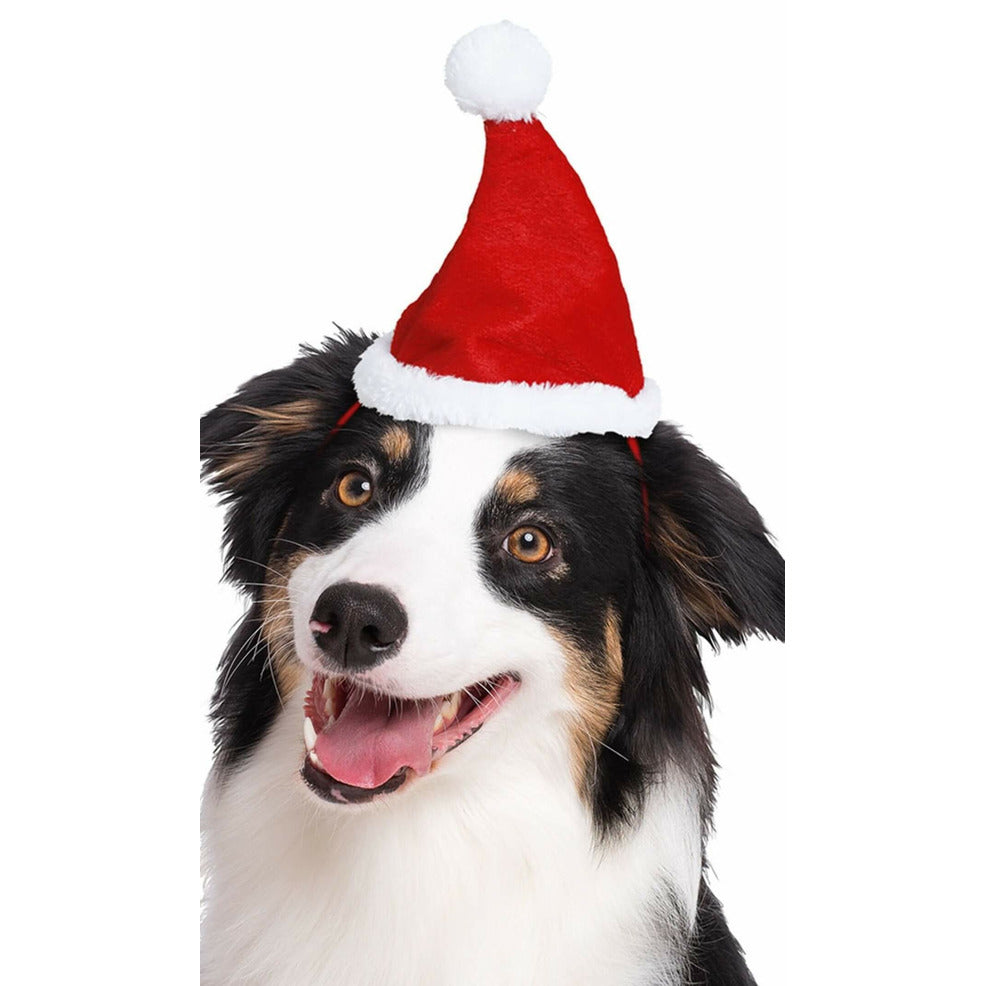 Gorro de Papá Noel para mascotas | Don Disfraz