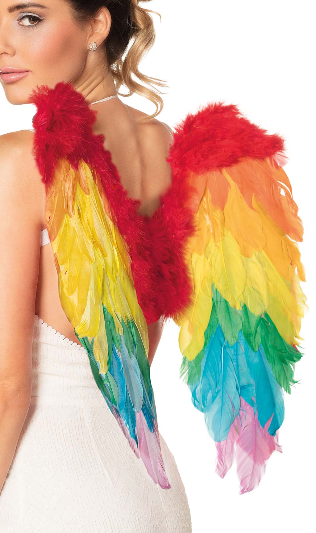 Flügel Regenbogen mit Federn