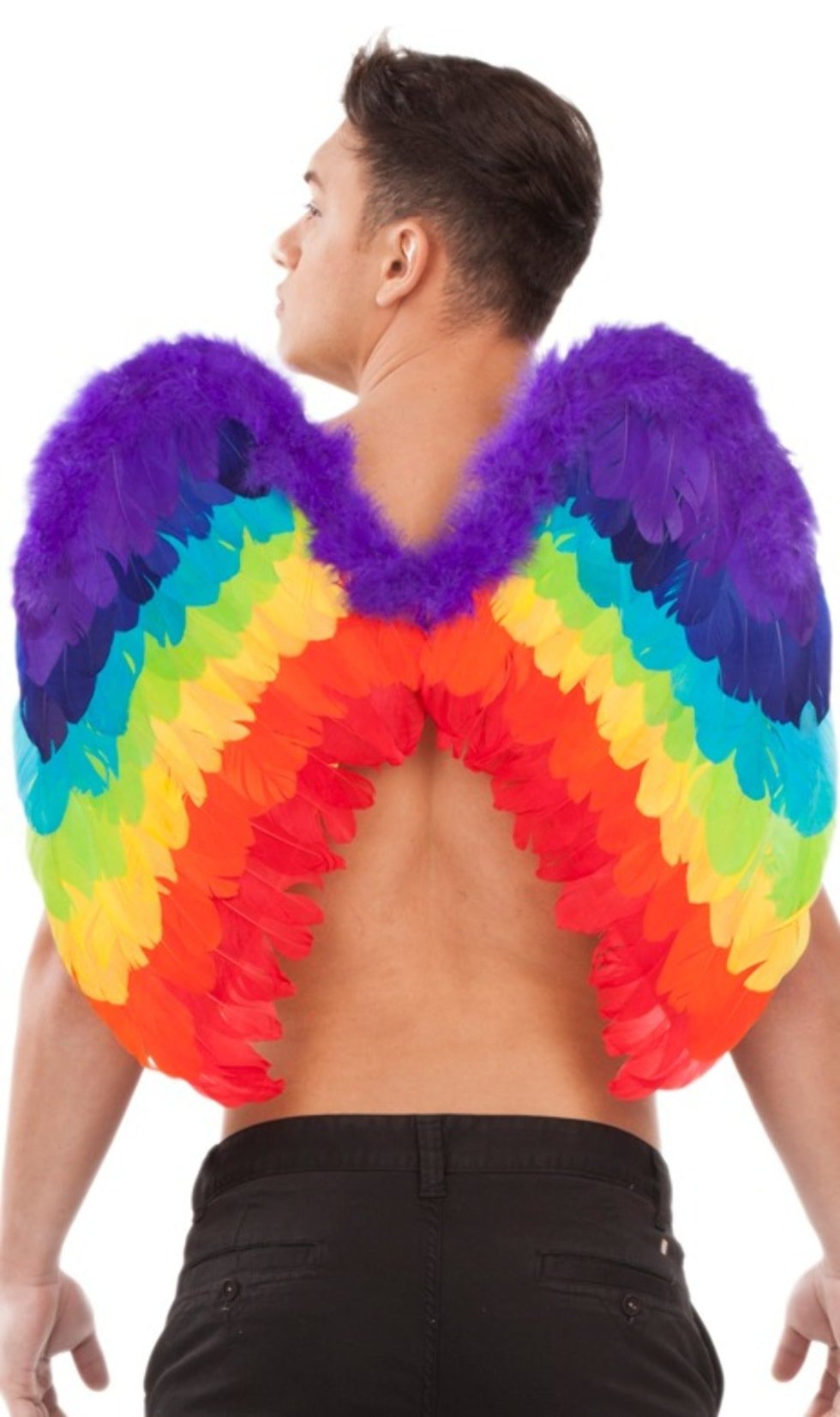 Flügel Herz Regenbogen