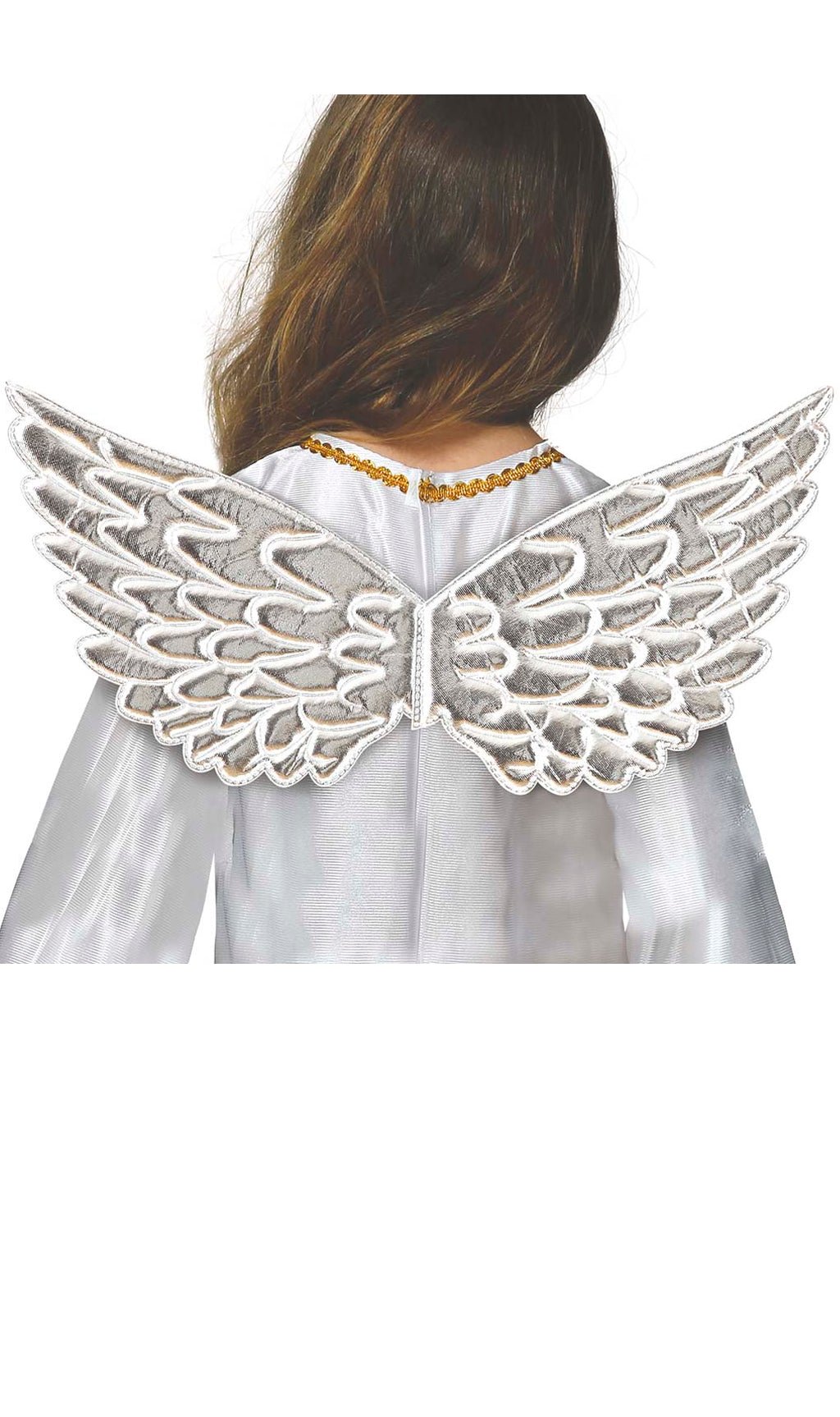 Kleine silberne Flügel