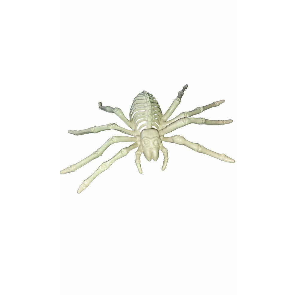 Esqueleto Araña | Don Disfraz