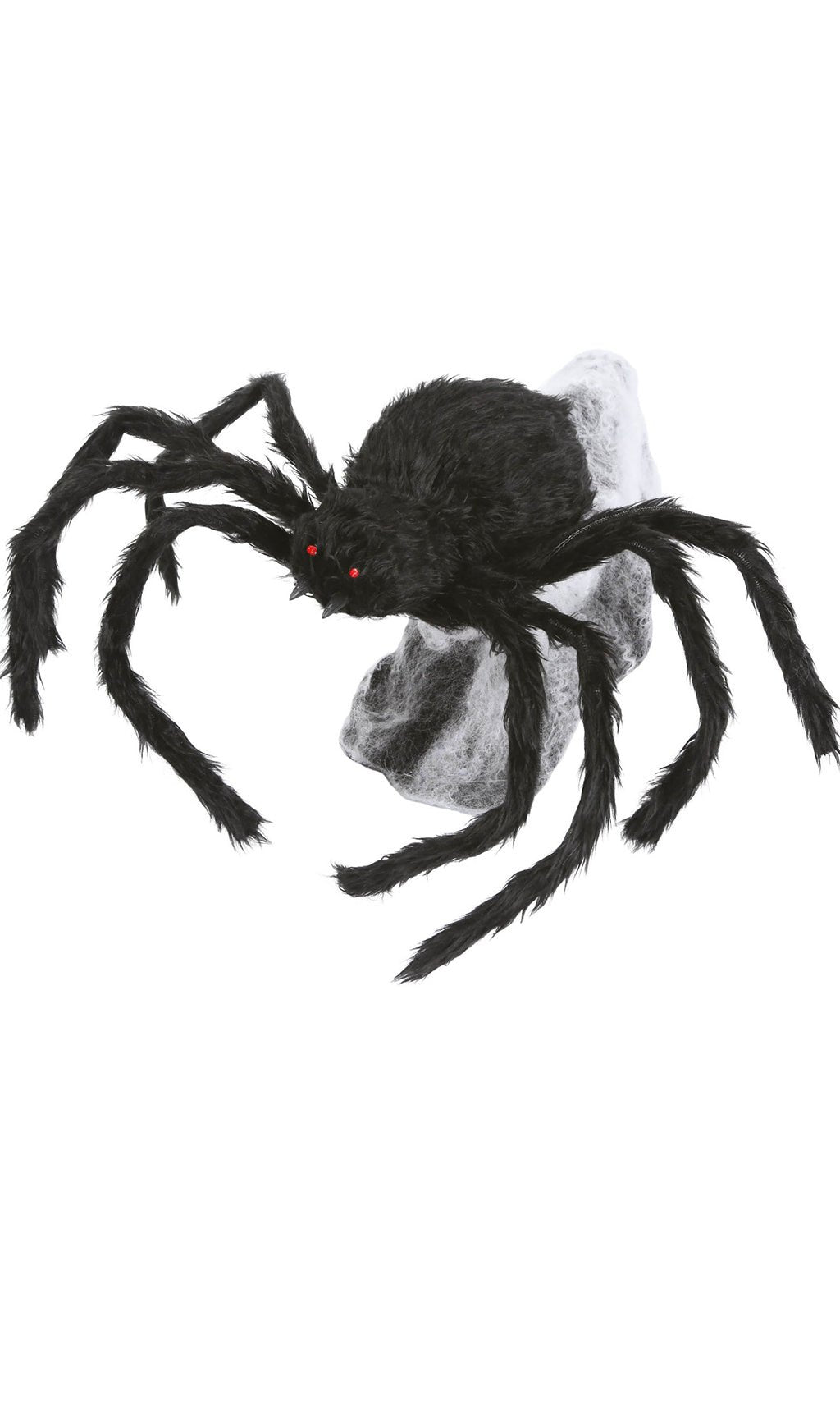 Spinne schwarz