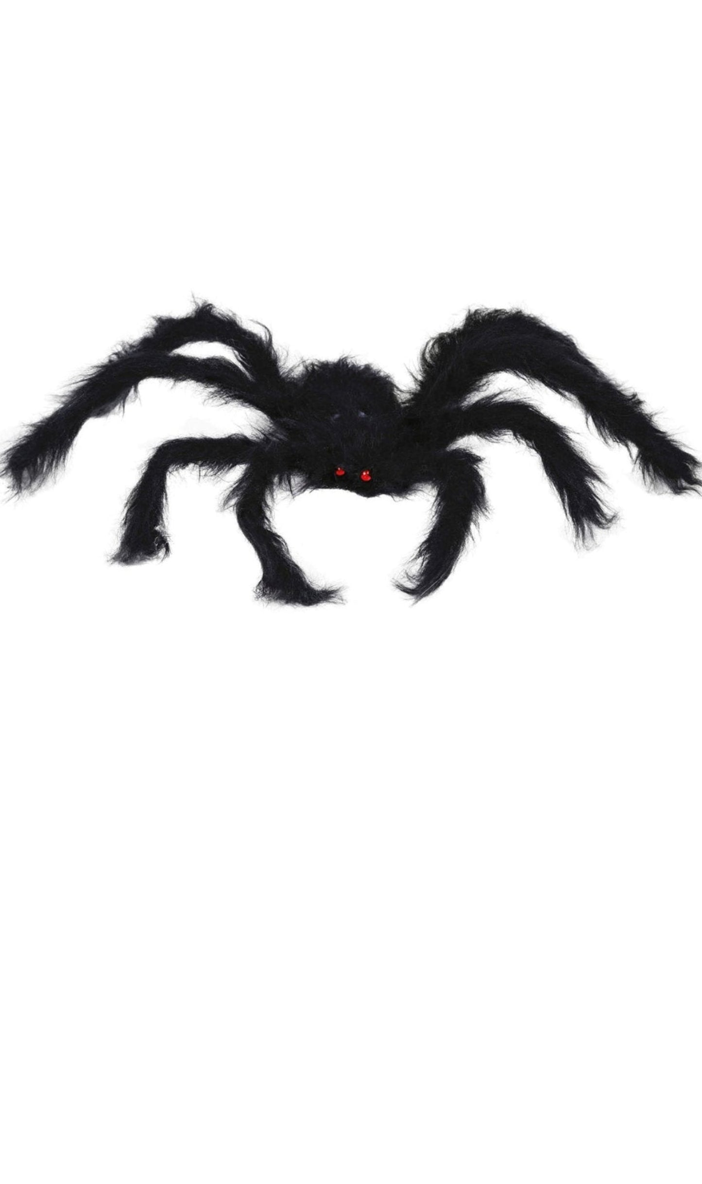 Behaarte schwarze Spinne