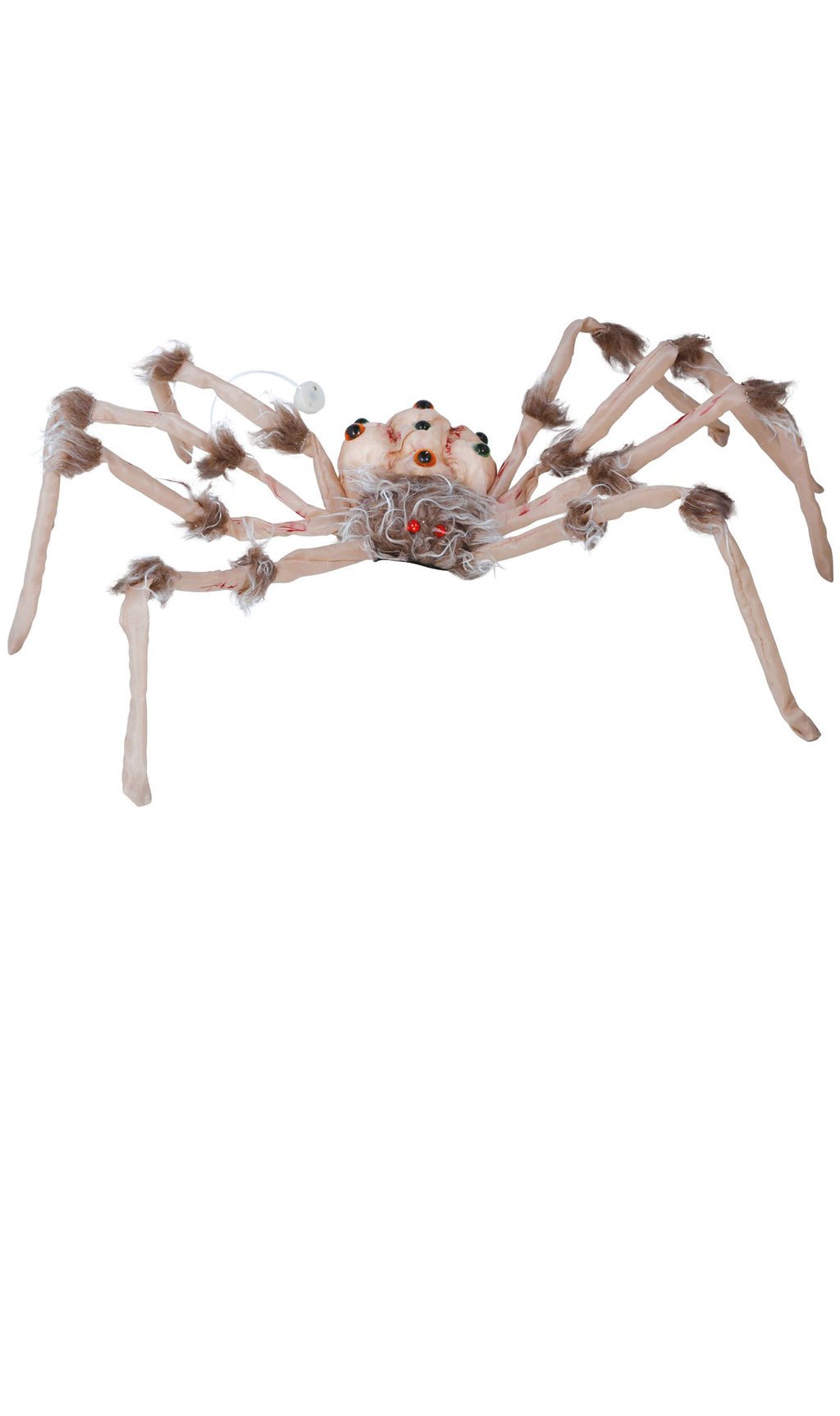 Spinne Augen leuchtend