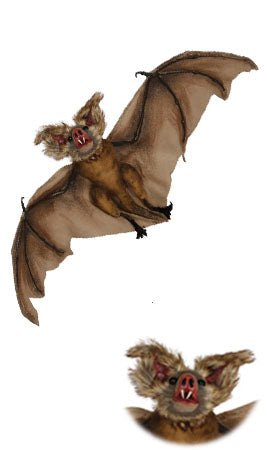 Braune hängende Fledermaus