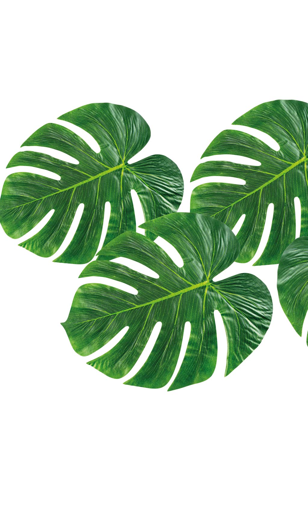 Hojas de Palmera | Don Disfraz