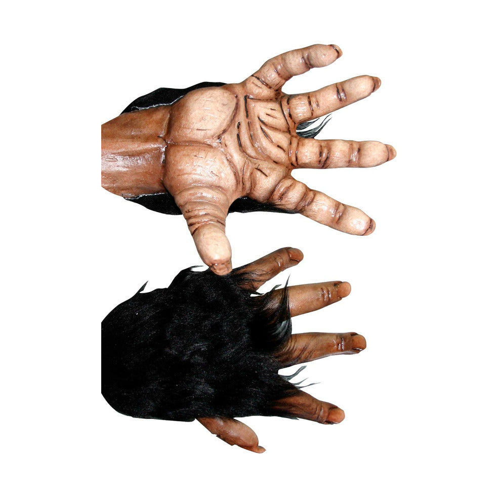 Manos Chimpancé | Don Disfraz