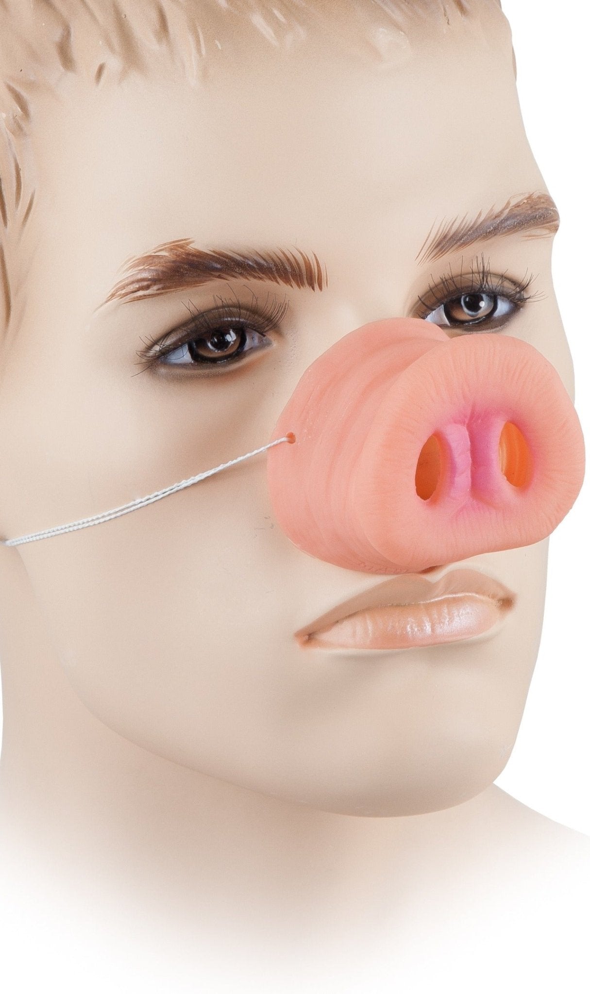 Schweine Nase