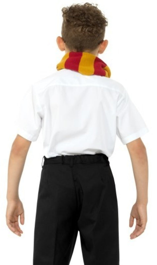 Set Zauberer Harry für Kinder