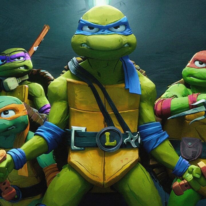 Disfraz de Tortugas Ninja