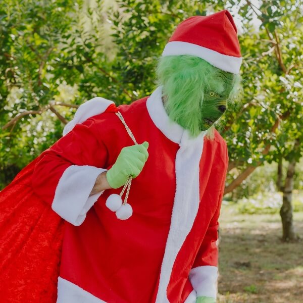 Disfraz del Grinch