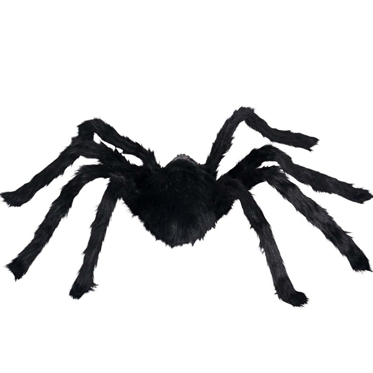 Große schwarze Spinne