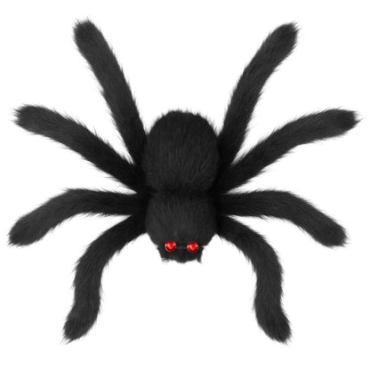 Riesige Schwarze Fellspinne