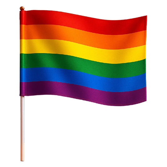 24er-Pack Regenbogen Pride Flaggen mit Stange 30cm