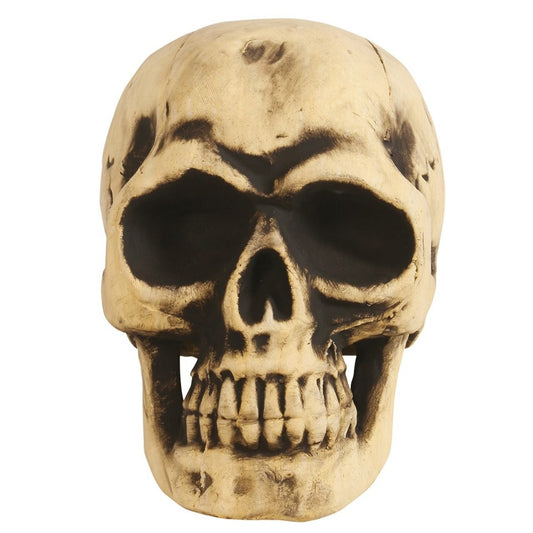 Großer Totenkopf aus Schaumstoff