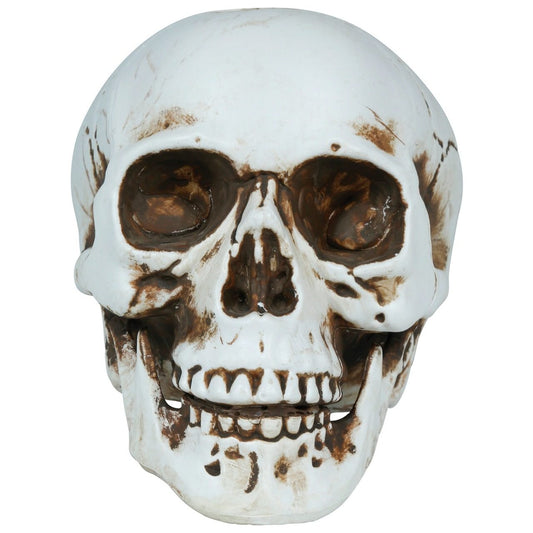Halloweenschädel Deko