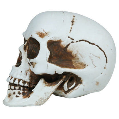 Halloweenschädel Deko