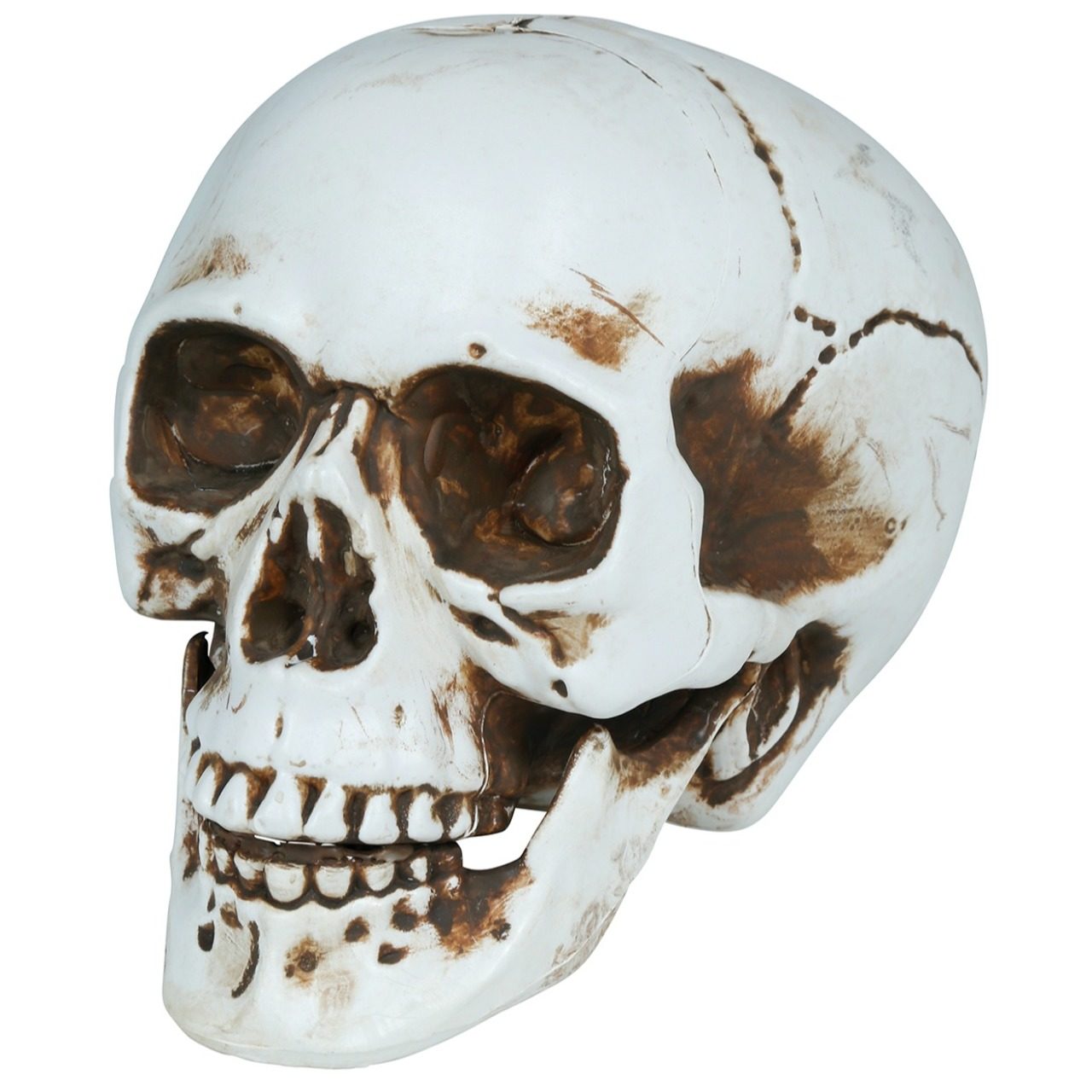 Halloweenschädel Deko