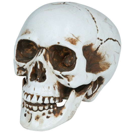Halloweenschädel Deko