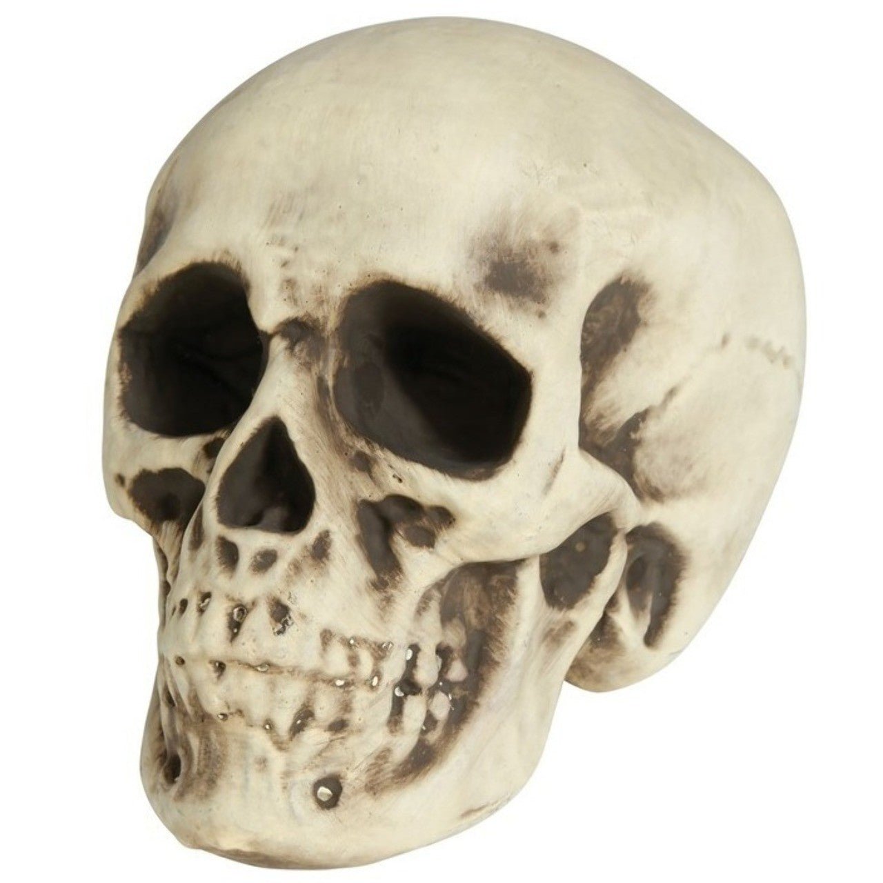 Schädel Skull Foam 