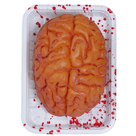 Gehirn in einem Tablett
