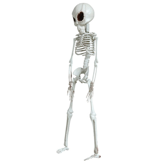 Alien-Skelett Hängedeko
