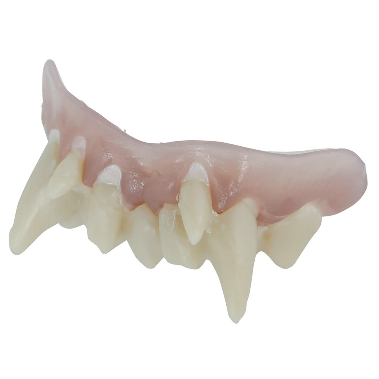 Vampirgebiss aus Thermoplast
