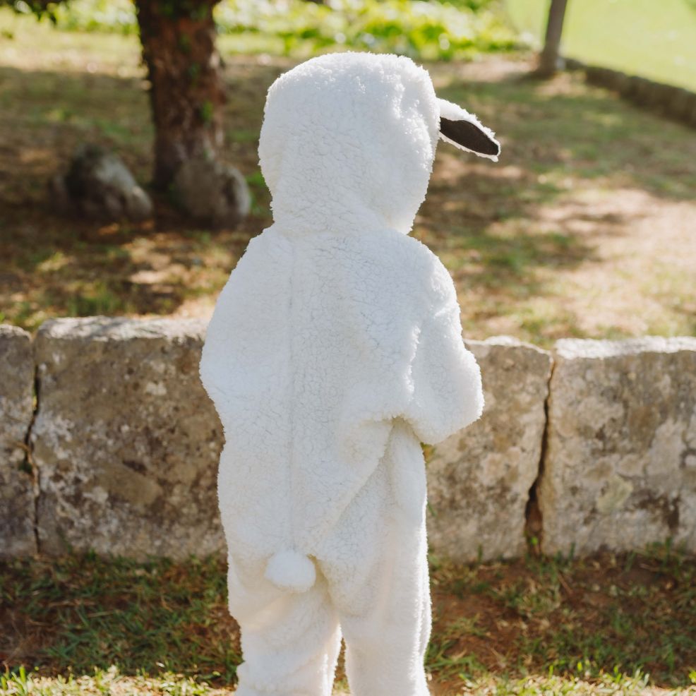 disfraz oveja infantil