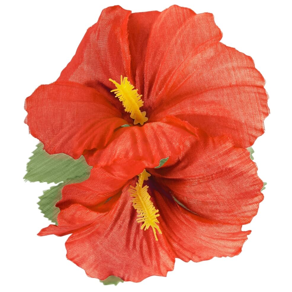 Hawaii-Blume rot
