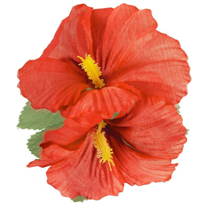 Hawaii-Blume rot