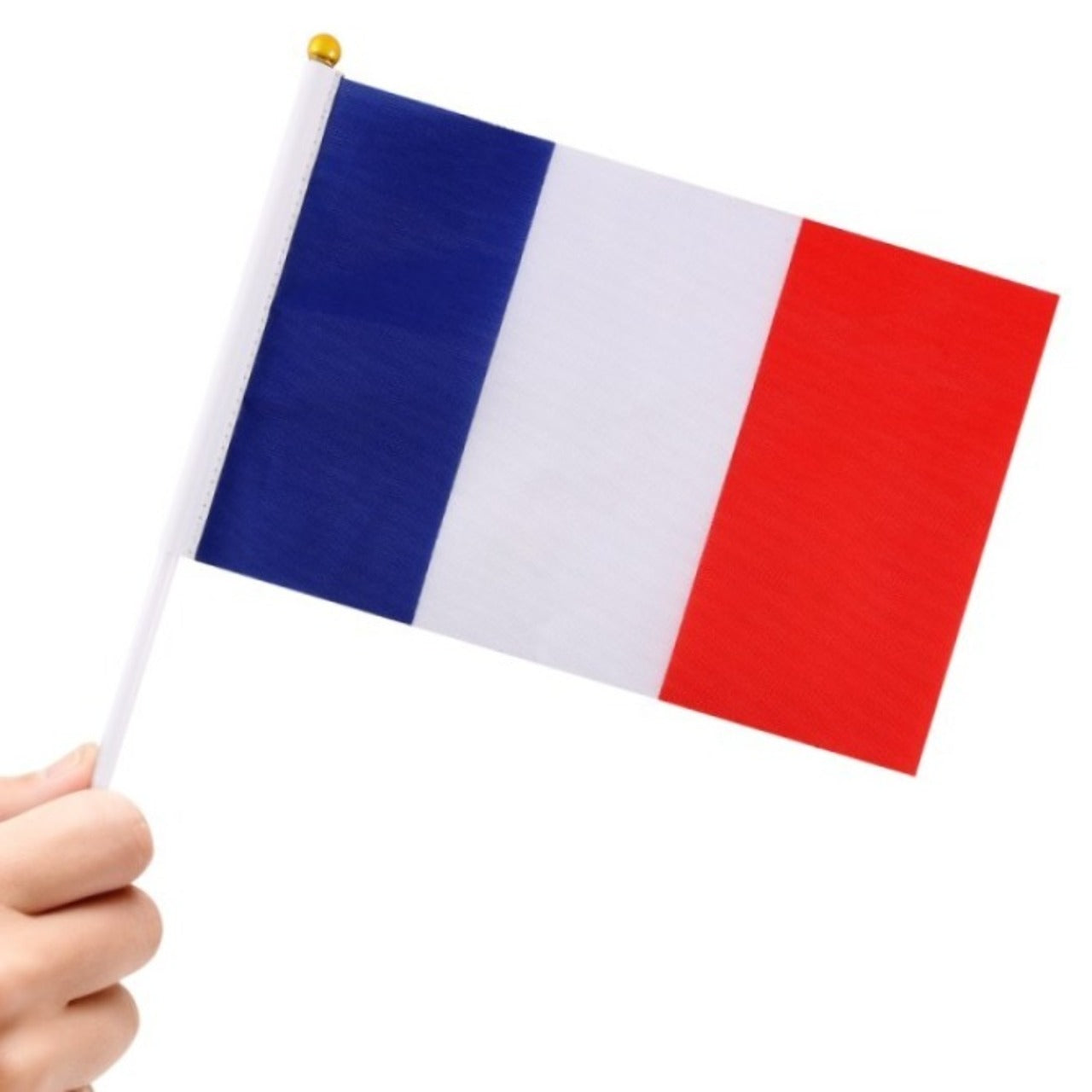 24er-Pack Frankreich-Wimpel 20x30cm