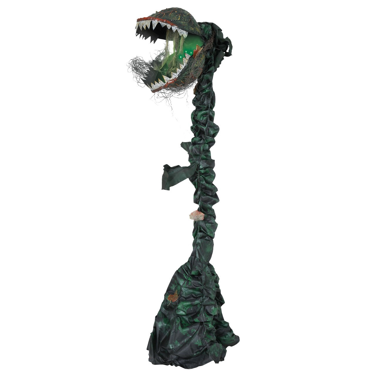 Fleischfressende-Pflanze