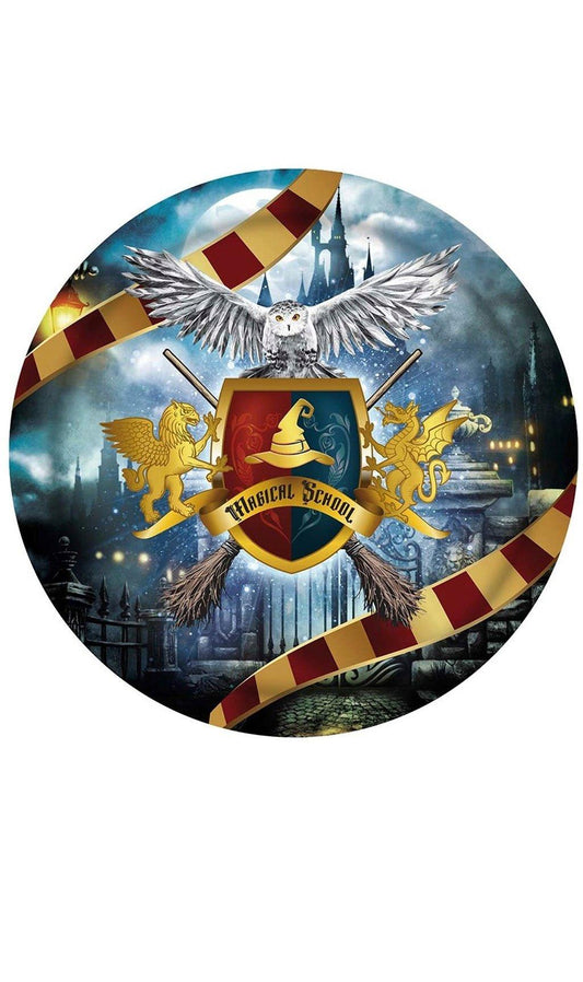 Partyteller Magier Harry