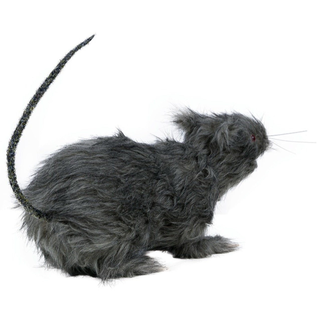 Große Ratte mit Licht