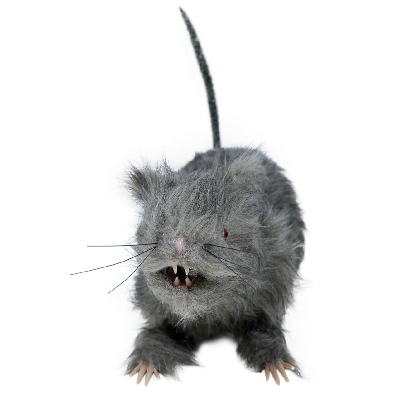 Große Ratte mit Licht