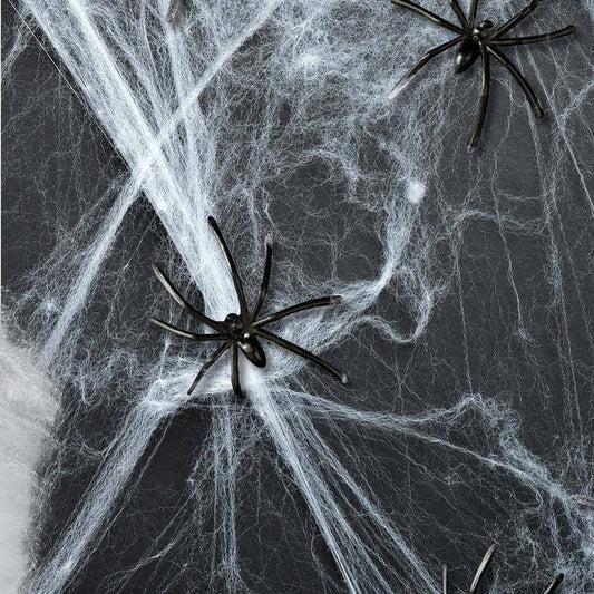 Weißes Spinnennetz 100g