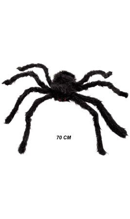 Schwarze Witwe (Spinne)