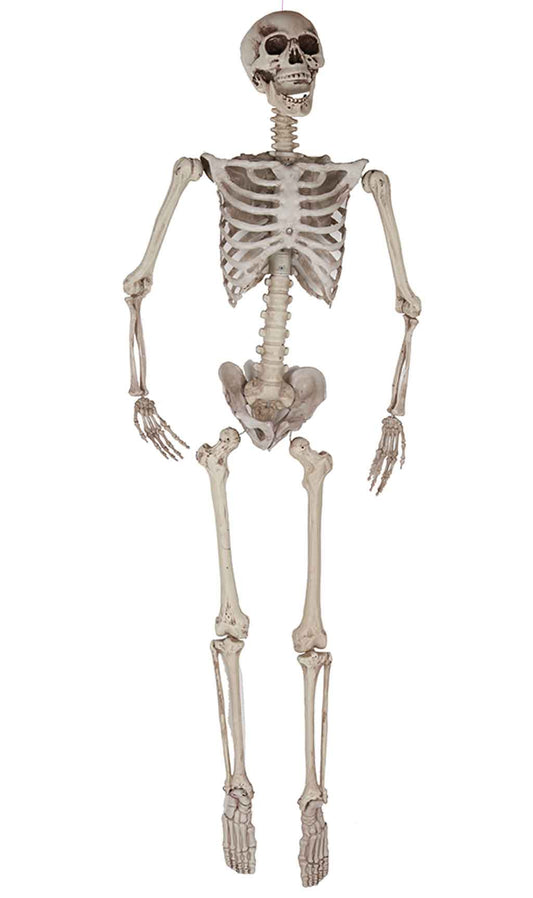 Schreckliche Skelett Hängedeko