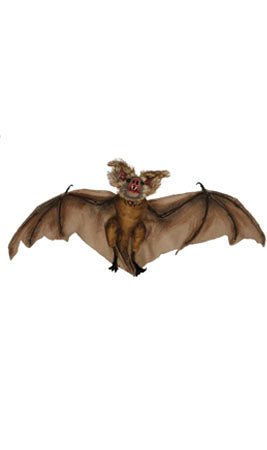 Braune hängende Fledermaus
