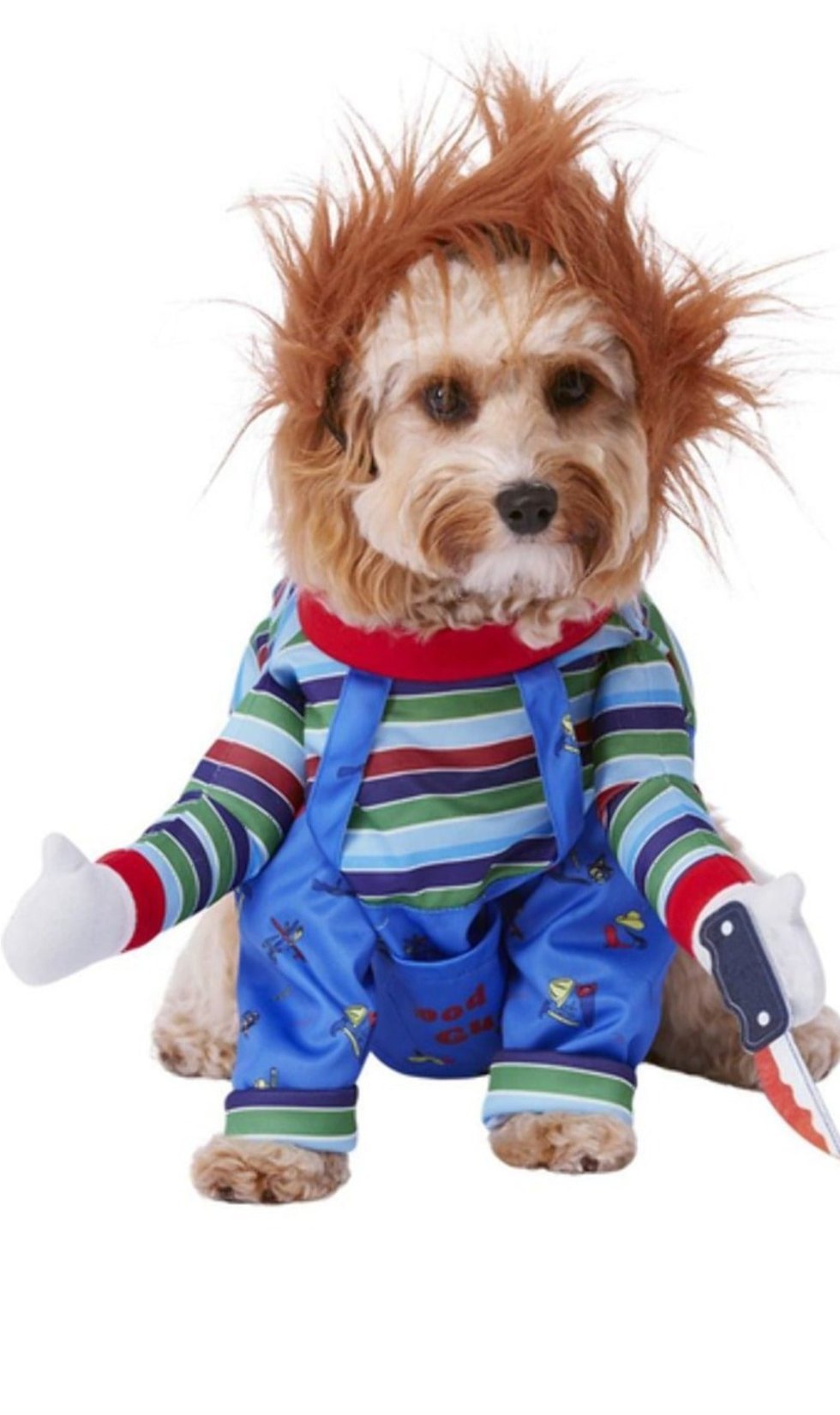 Disfraz de Chucky™ para mascota I Don Disfraz