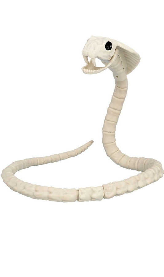 Schlangenskelett