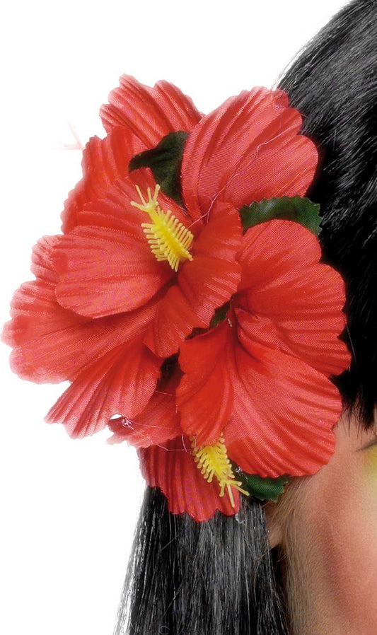 Hawaii-Blume rot