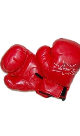 Boxerhandschuhe
